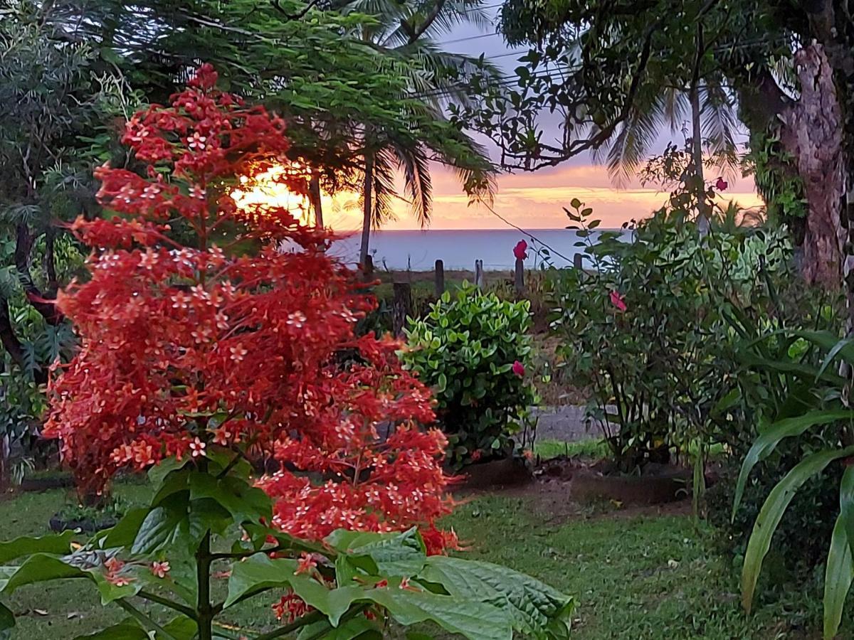 Hotel Gitana Corcovado, Y Tour Operador Драке Экстерьер фото